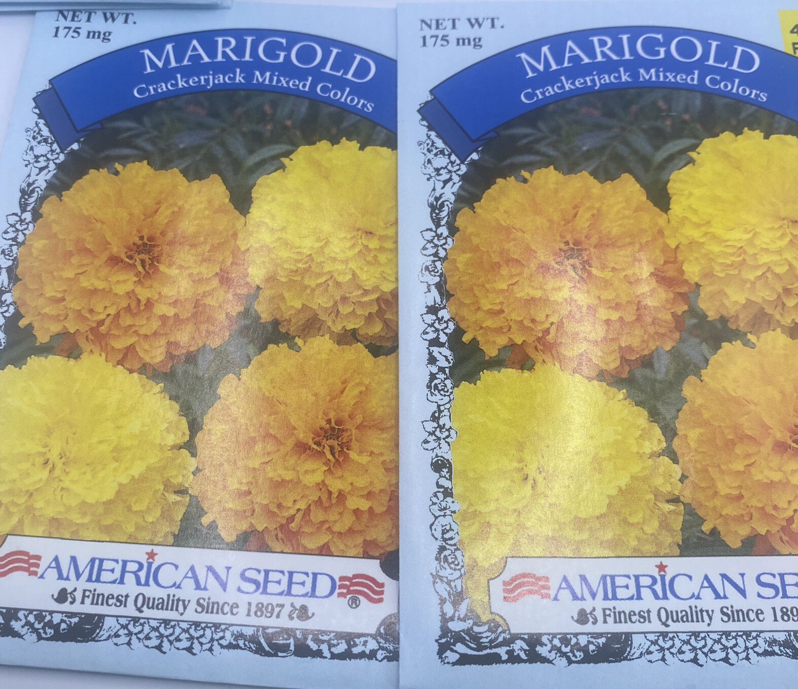 Marigold, African CRACKERJACK MIX Yellow Gold Orange packed 2022 Seeds! (2)