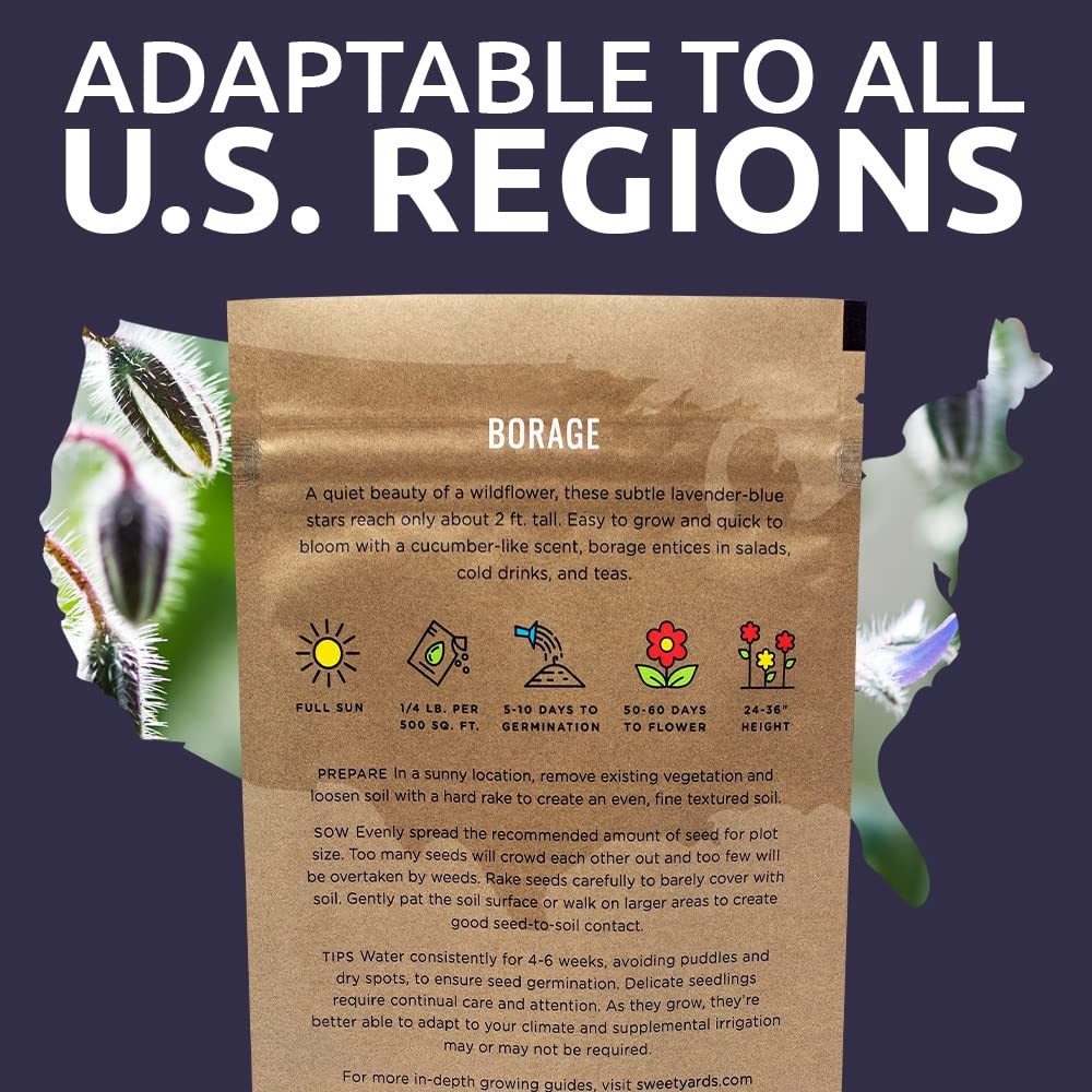 Borage Seeds Bulk 5,000+ NonGMO Open Pollinated Wildflower Seeds