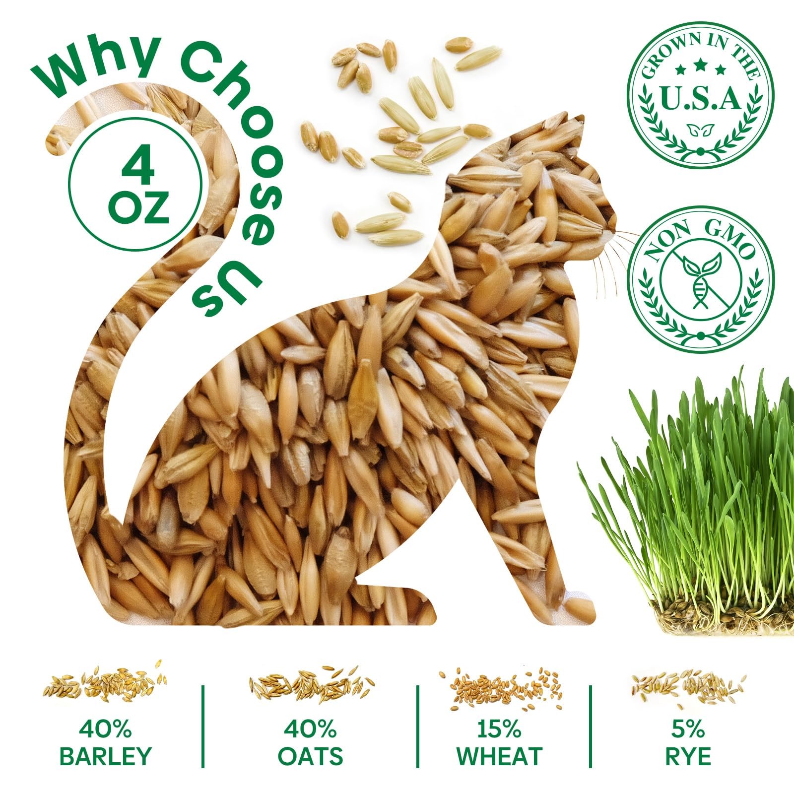 Cat Grass Seeds, 4 Ounce