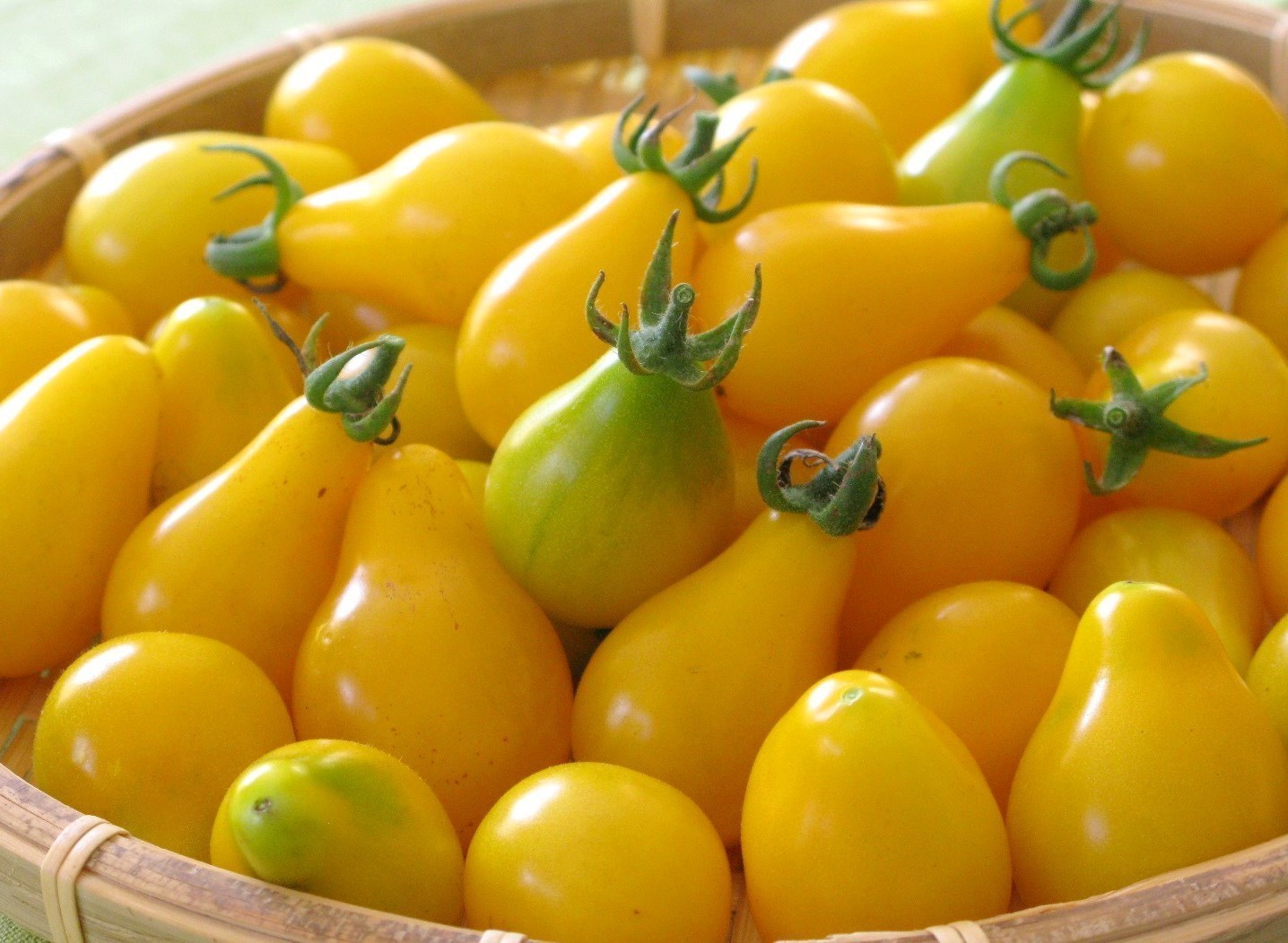 1/4 oz Tomato Seeds, Yellow Pear, Non-Gmo Heirloom Yellow Tomato Seeds, 2,500 ct