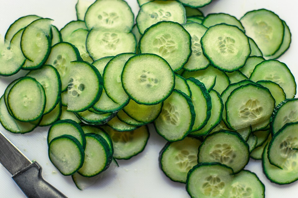 Organic Cucumber Seed, Heirloom, FRESH seed stock