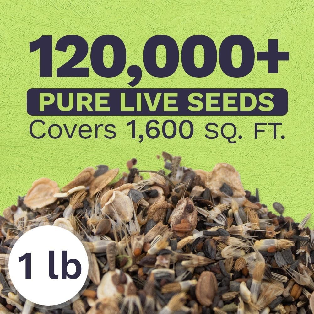 Drought Tolerant Wildflowers Mix – Bulk 1 Pound Bag – Over 120,000 Open Polli…