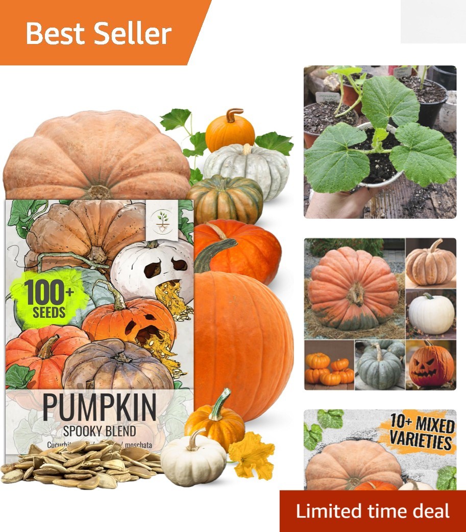 Pumpkin Seeds Specialty Spooky Blend 10+ Varieties | Lumina White, Baby Boo, …
