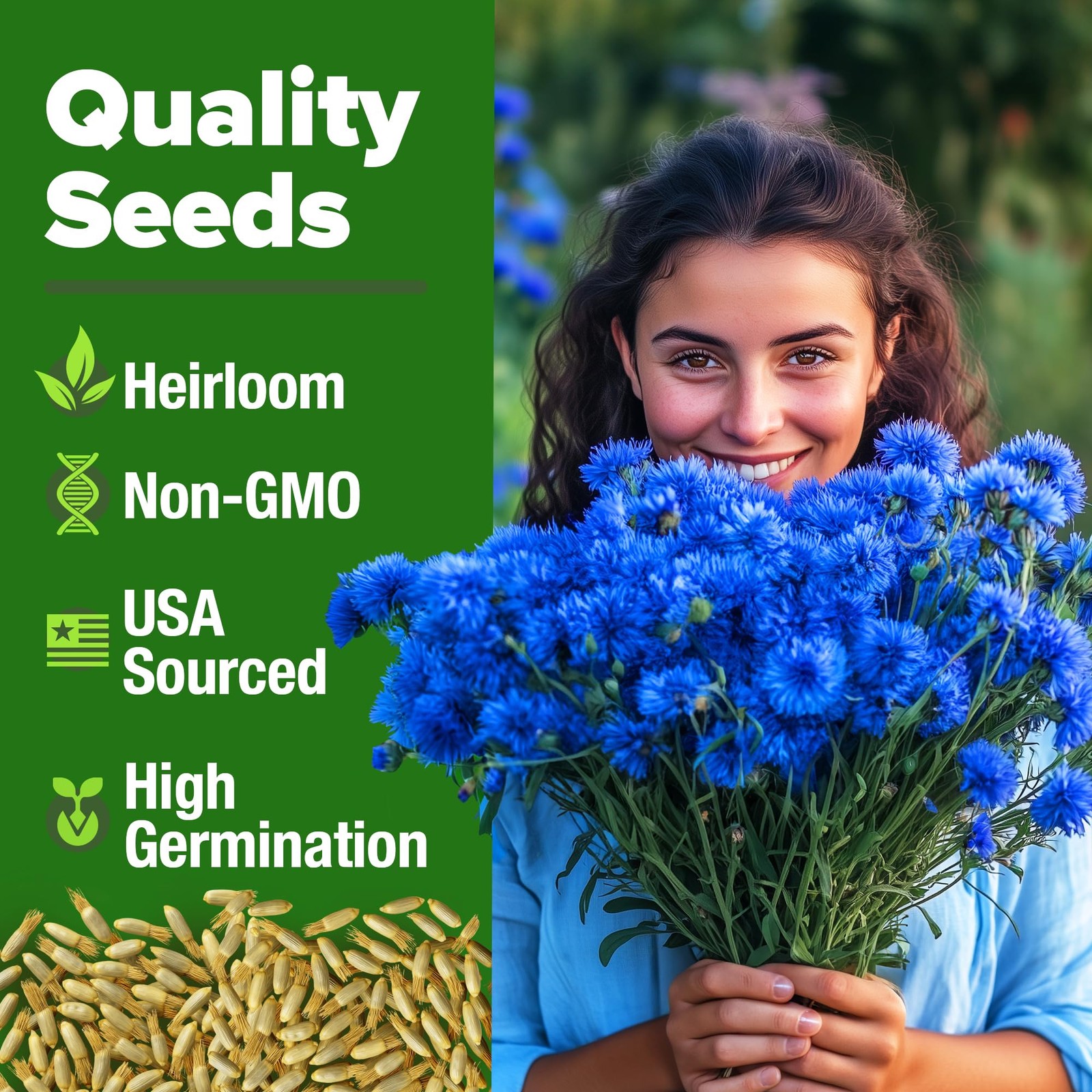 Bachelor Button Seeds Tall Blue 6000 Cornflower, Stunning Blue Blooms for Wi…
