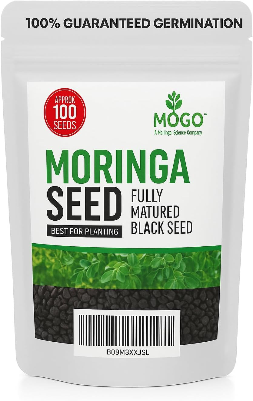 100 Moringa Seeds Approx | Moringa Seeds for Planting | Excellent Germination |