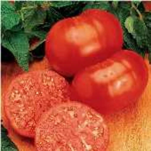 Ponderosa Red Slicing Tomato 25 Seeds Non-GMO