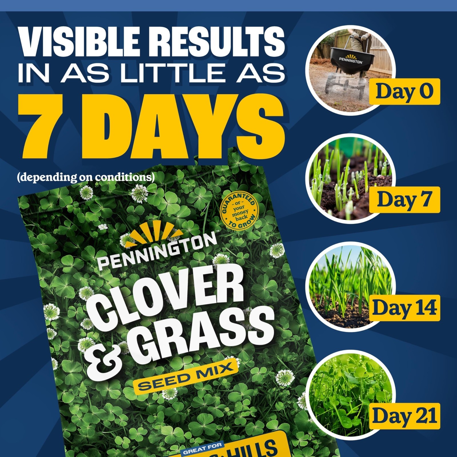 Clover & Grass Seed Mix – 7 lb Pack of 2 – Ideal for Lawns & Gardens