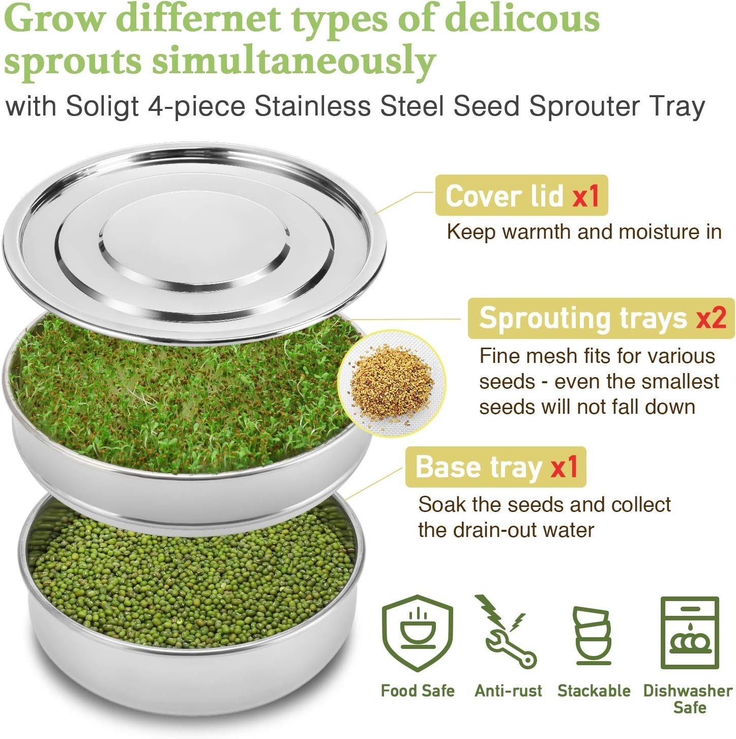 Durable 2-Tier Seed Sprouting Tray – Polished Rust-Resistant Steel Kit
