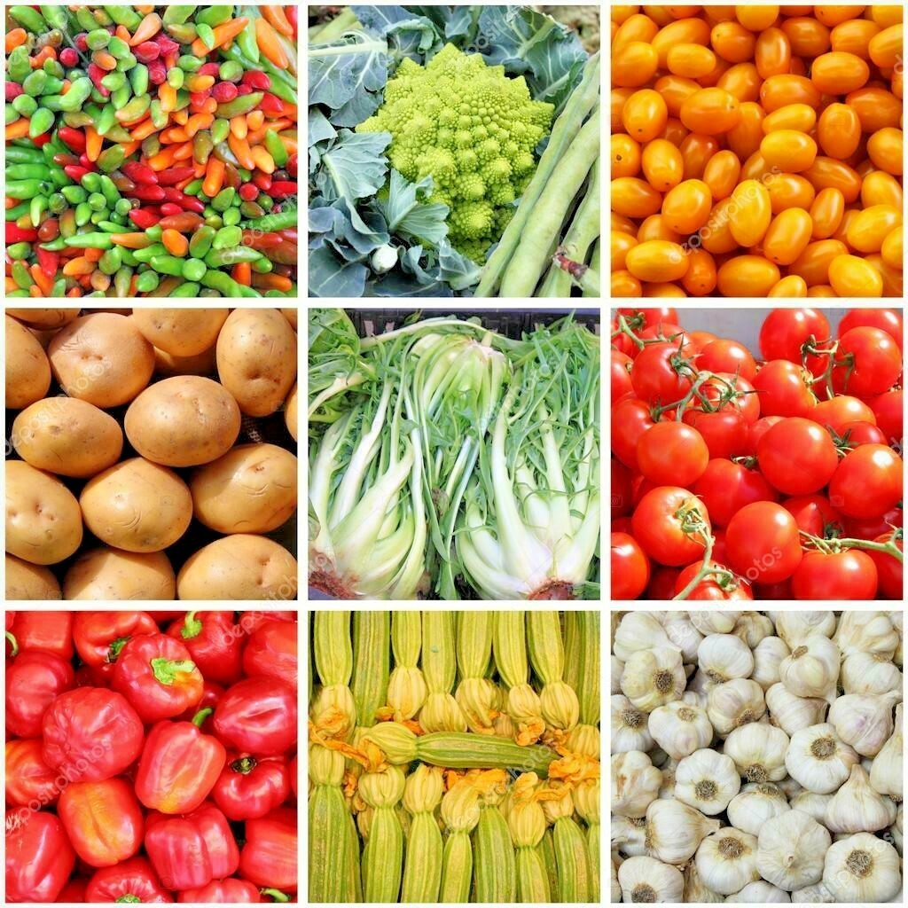 #11 Heirloom Vegetable Seeds 6 Variety Garden Set Emergency Survival NON-GMO WOW