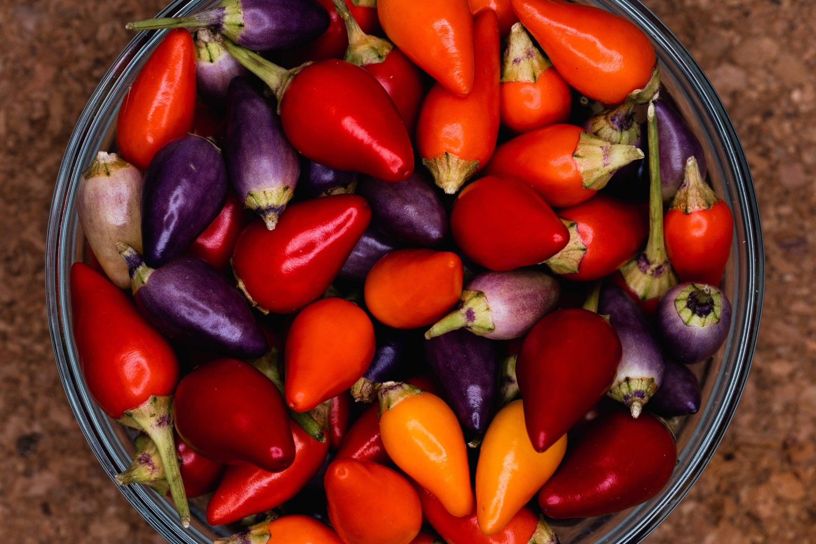 1000 Pcs Five Color Pepper Seeds Ornamental Hot Chili Heirloom Vegetable Garden