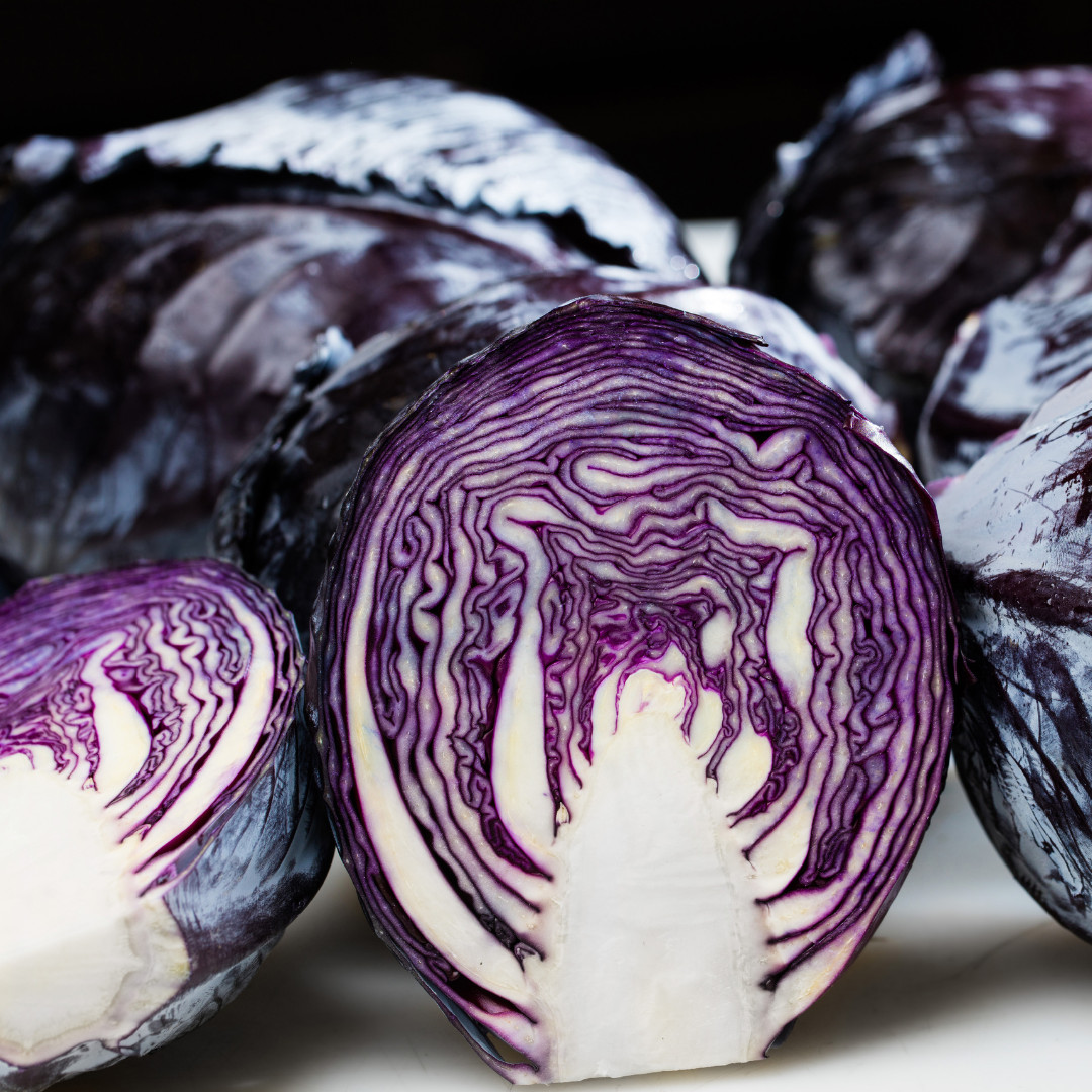 Fresh Crisp Endive Seeds | Radicchio| Heirloom Non-GMO | Vegetable Seeds