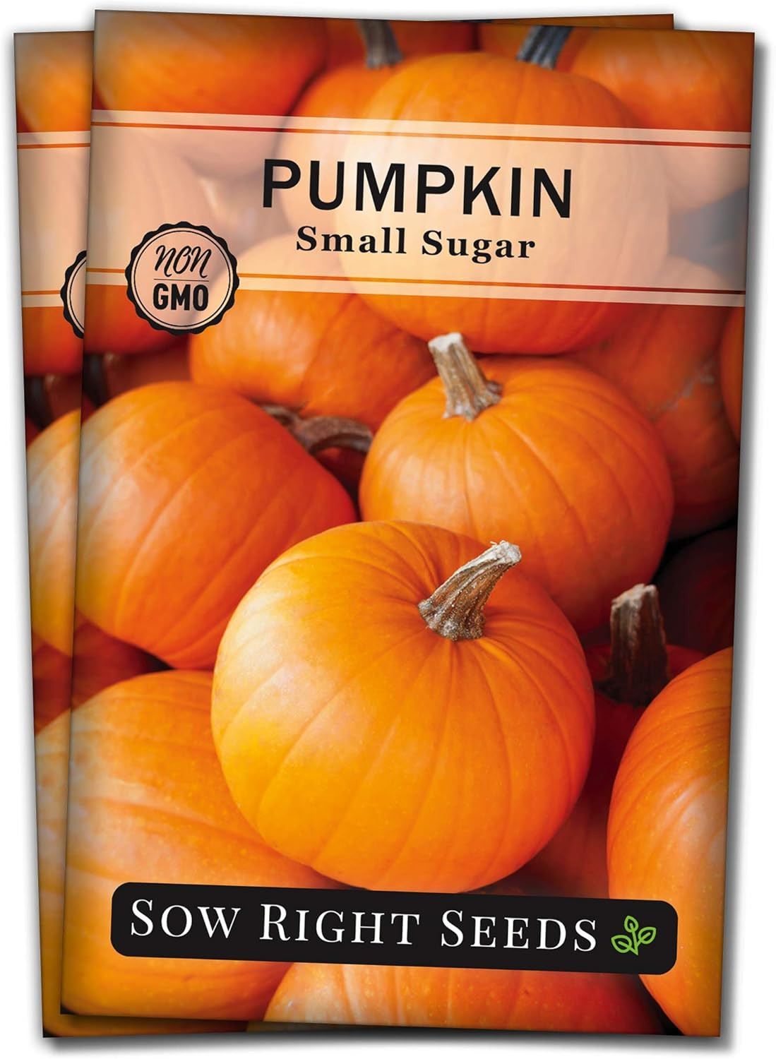– Small Sugar Pumpkin Seed for Planting – Non-Gmo Heirloom Packet with Instructi