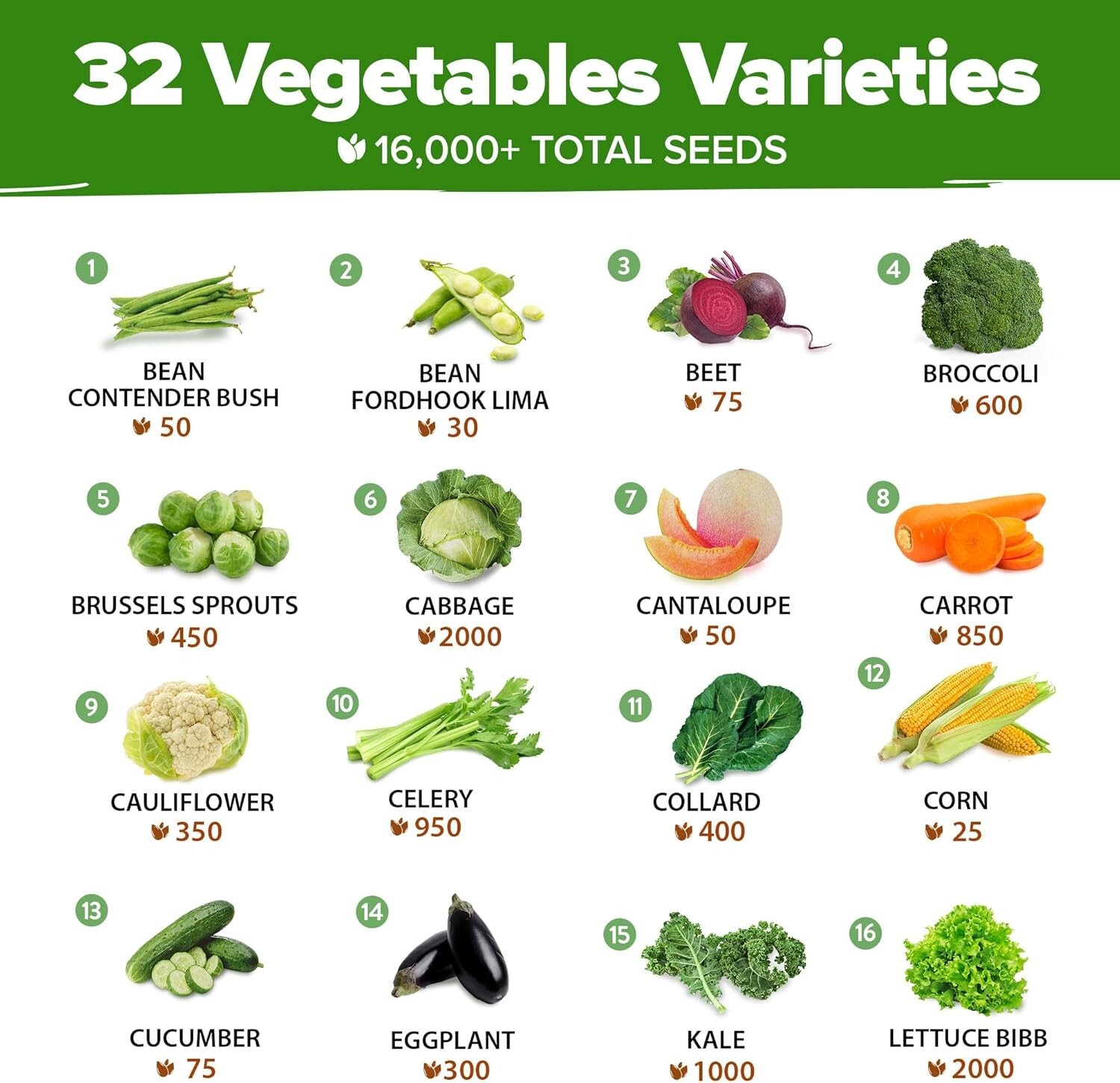 Vegetable Seeds Heirloom Non-GMO Garden Pack 16,000+ for Home Survival