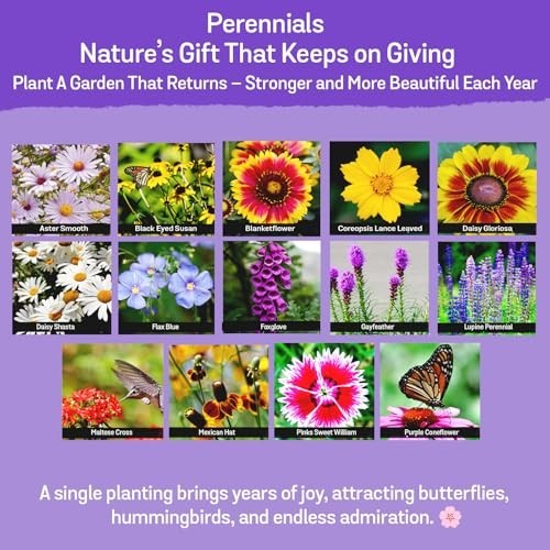 Wildflower Seeds Bulk 1/2 lb – 340,000 Seeds, 35 Varieties Perennial & Annual
