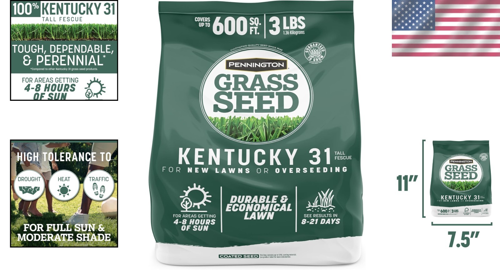 3 LB Kentucky 31 Tall Fescue Grass Seed – Drought-Resistant & Fast-Germinating