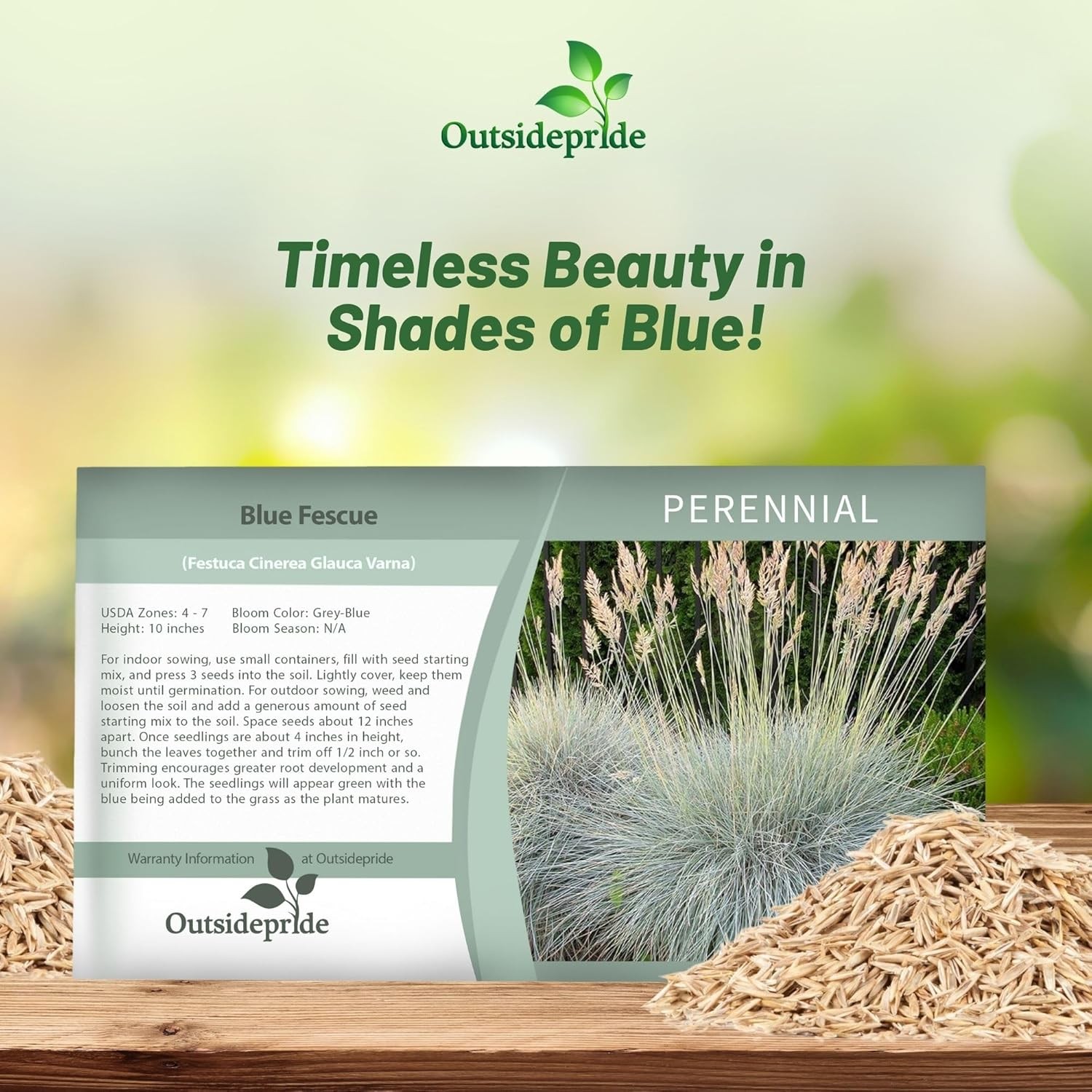 10000 Seeds Blue Fescue Seeds For Planting | Ornamental Grass For Xeriscape