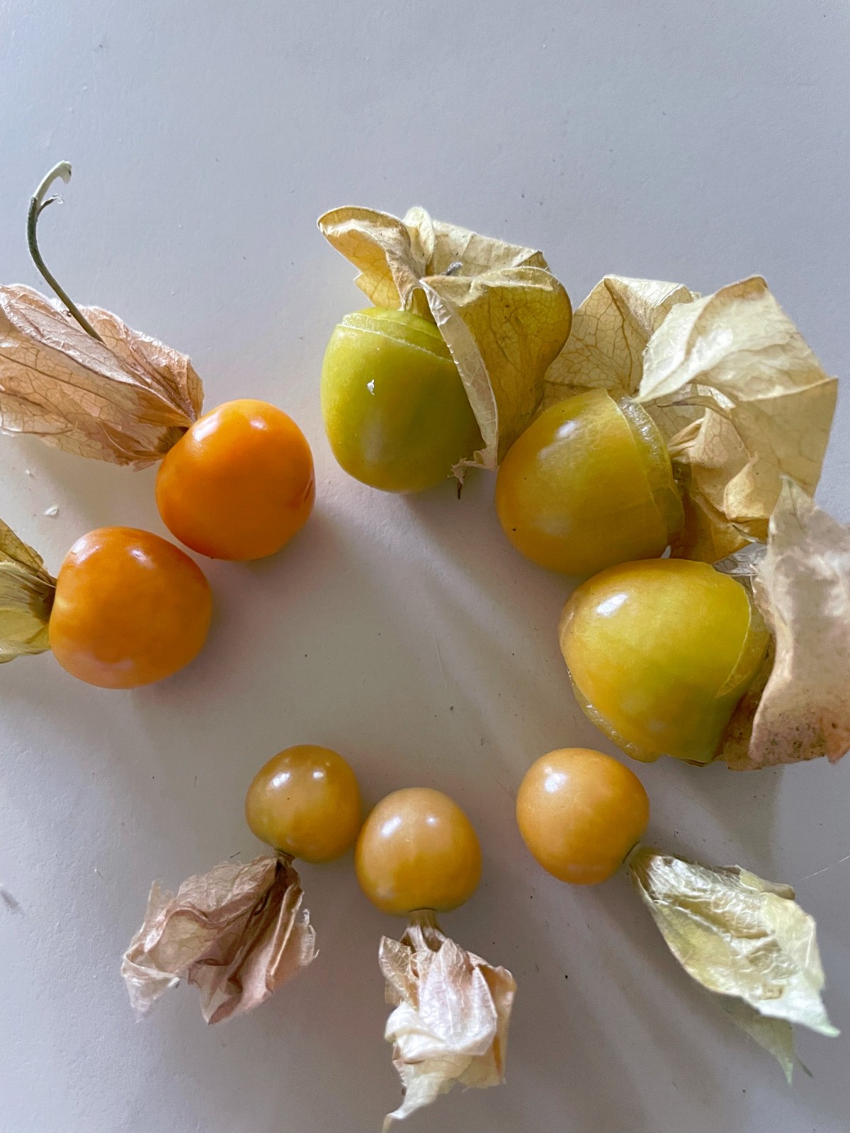 Goldenberry, Ground cherry, Chinese Lantern Fruit & Yellow Tomatillo Seeds (4)