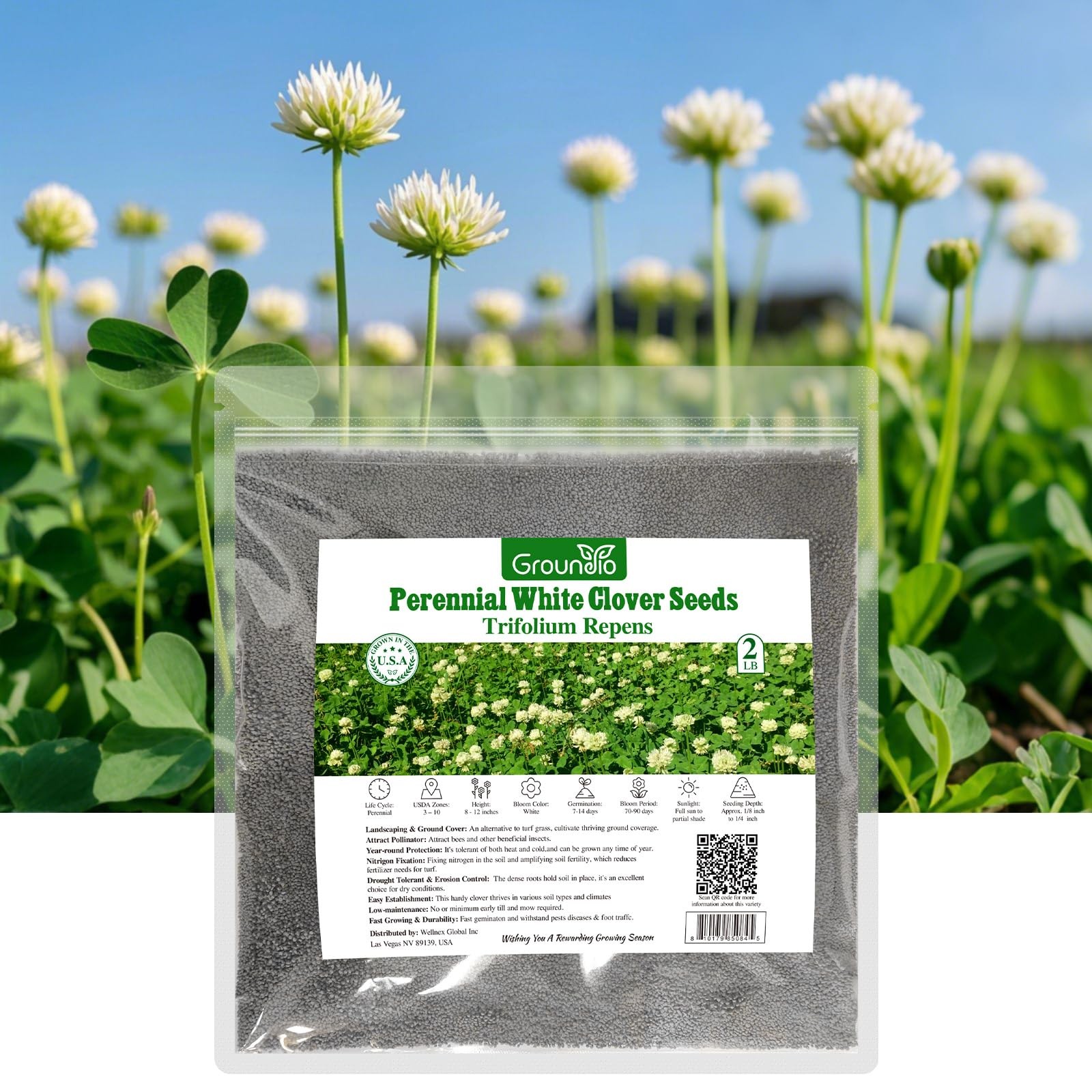 Perennial White Dutch Clover Seeds for Lawn, 2 lbs, Ground Cover Clover, Nitr…