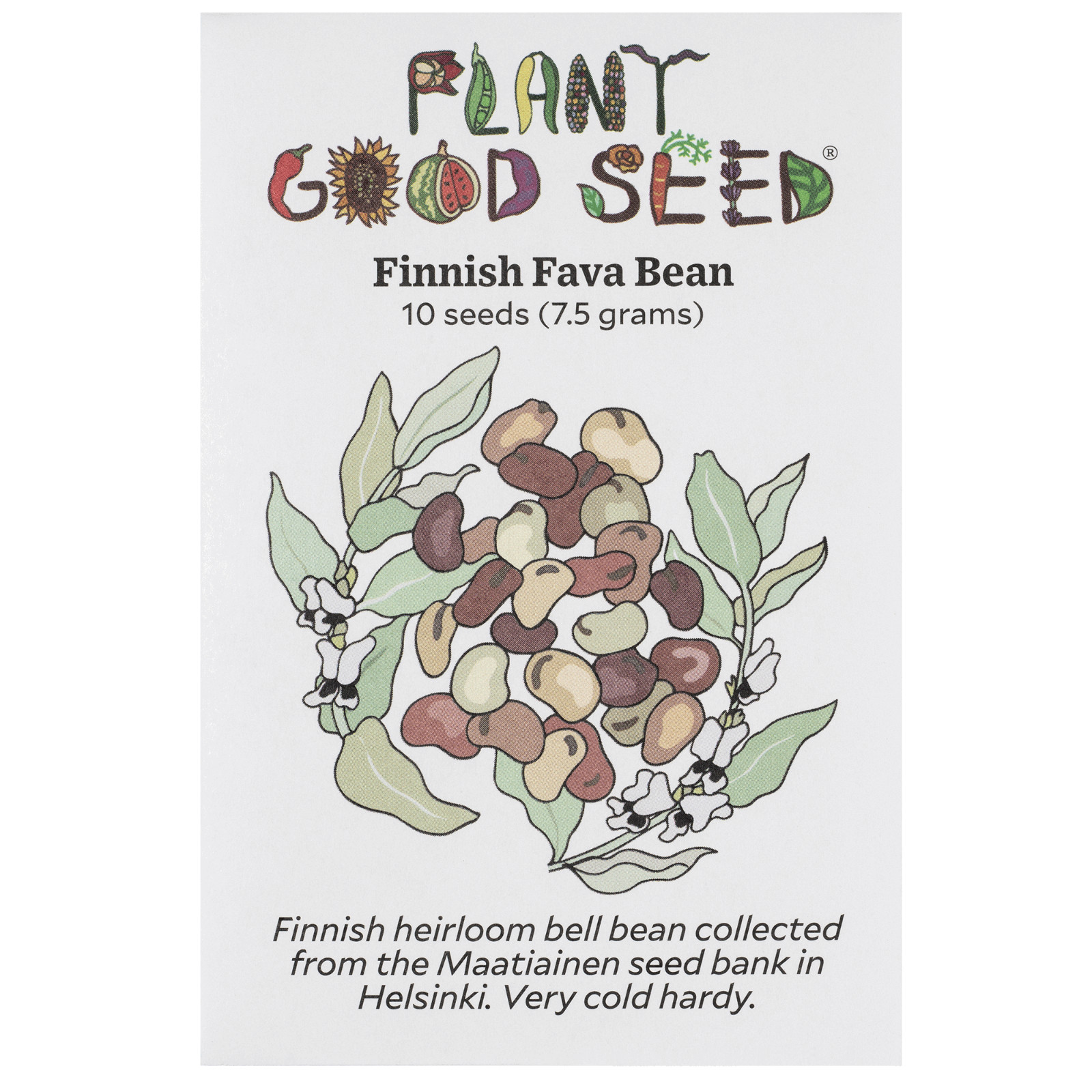 Finnish Fava Bean Seed Packet – 10 seeds, Organic Heirloom Faba Cover Crop Bell