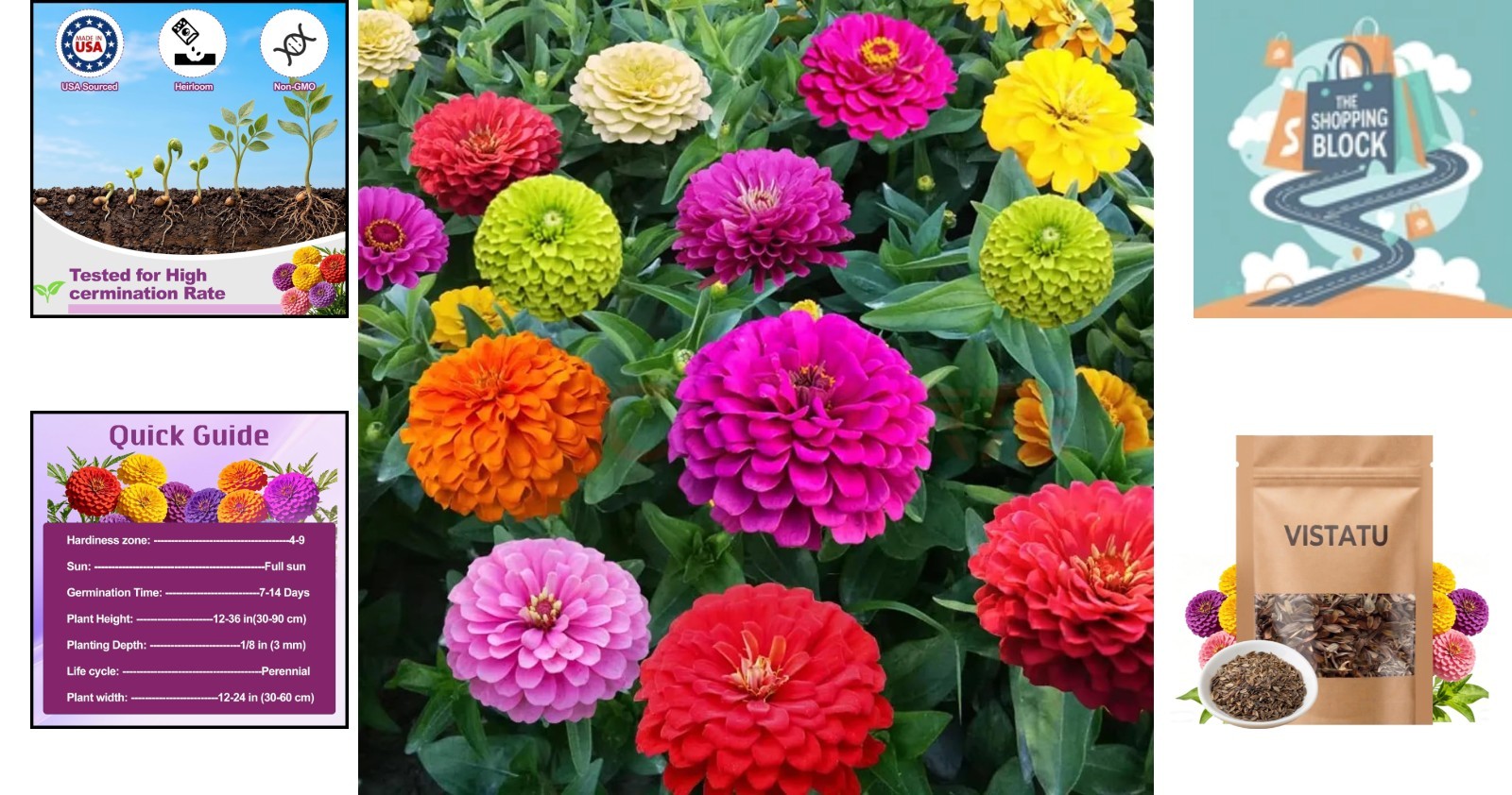 1000+ Mix Zinnia Seeds – Heirloom, Resistant, Full Sun, 8in