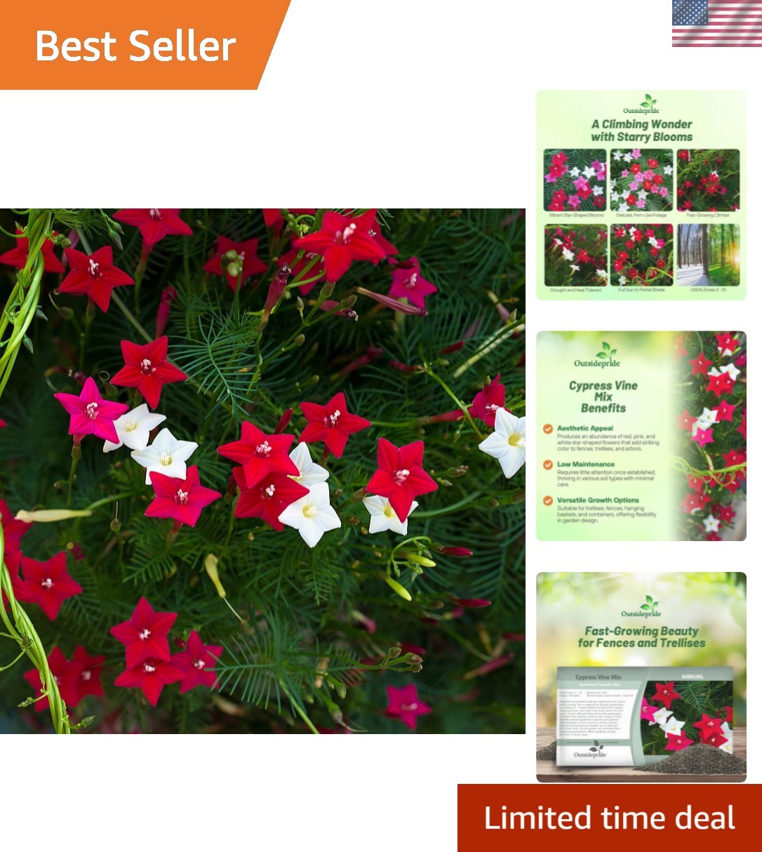 Cypress Vine Seeds – 100 Pcs for Stunning Summer Blooms & Hummingbird Habitat