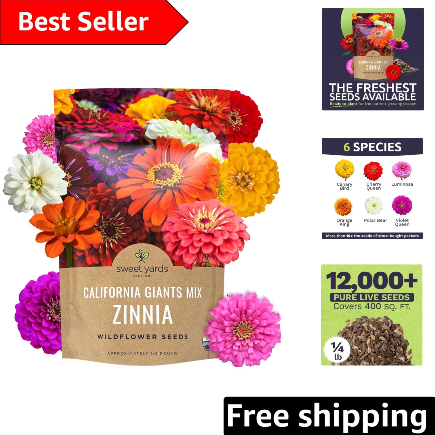 Vibrant California Giants Zinnia Seeds – 12,000 in 1/4 lb Resealable Packaging