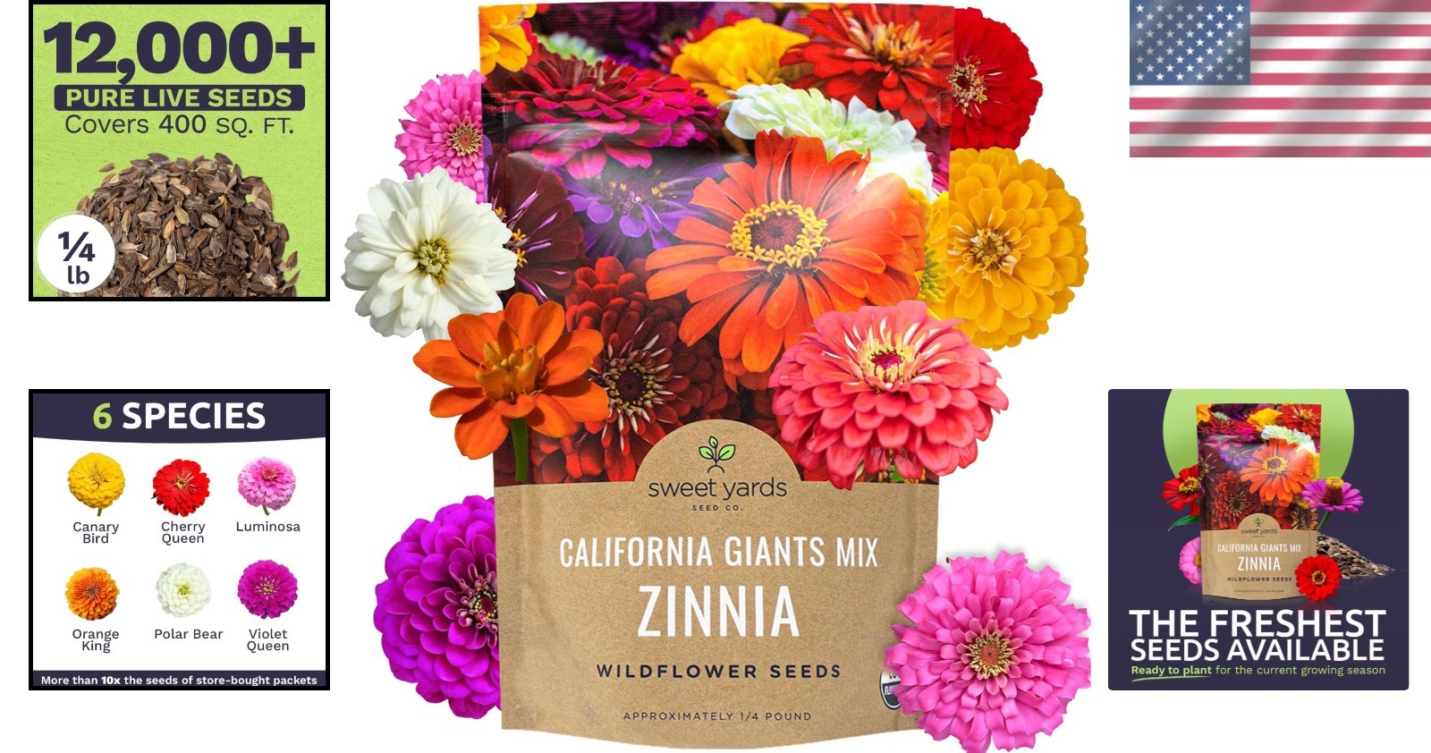 California Giants Zinnia Seeds – 12,000 Bulk Heirloom Seeds for Stunning Gardens