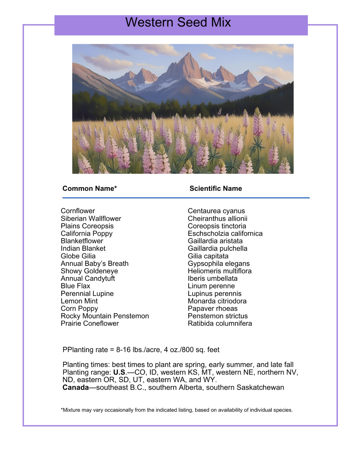 1 Pound Utah Western Bulk Wildflower Seed Mix 1lb Covers 3,200sq-ft
