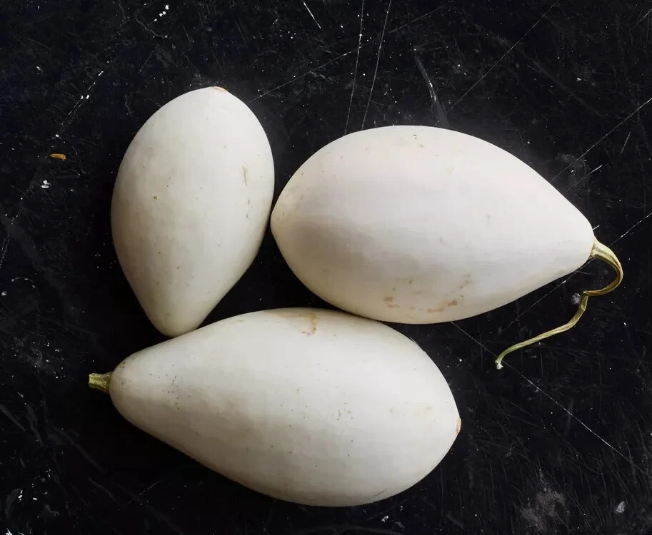 25+ Nest Egg Gourd Squash Seeds for Garden Planting – USA – FREE SHIPPING!