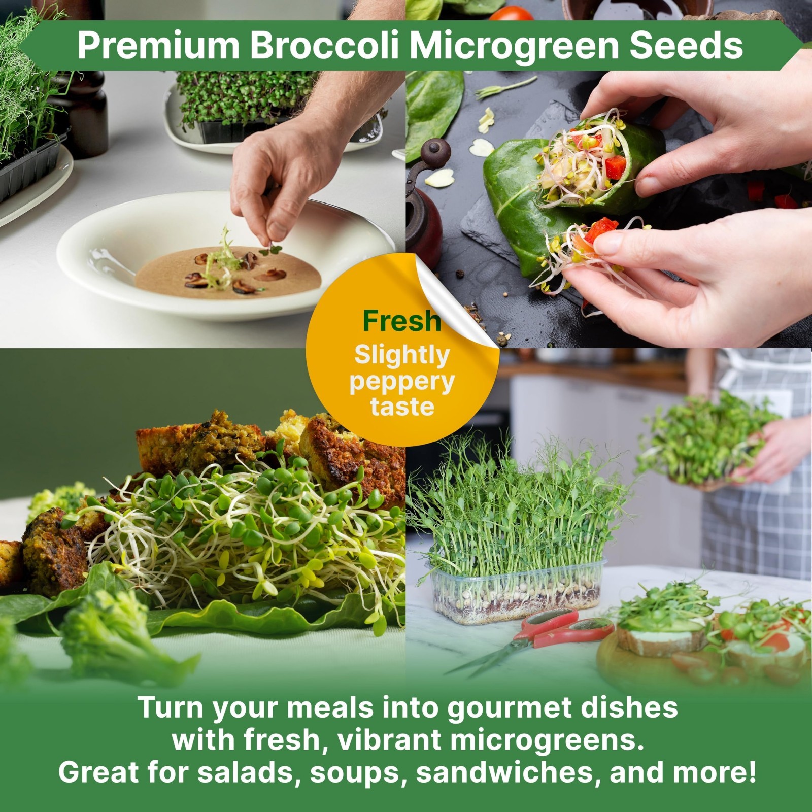 Non-GMO Broccoli Sprouting Seeds & Microgreens Kit – 1lb Resealable Bag for Soil