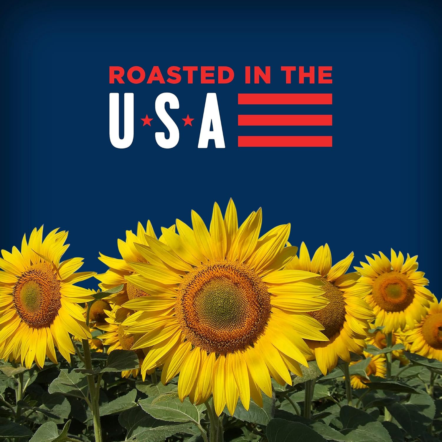 New Sunflower Seeds Salted Roasted Original Flavor 5.35 Oz 12 Pack Fast Shipping