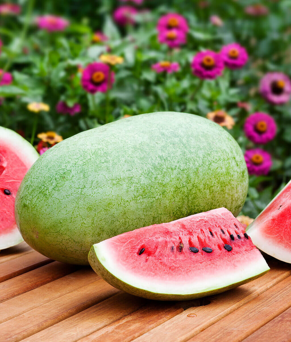 25+ CHARLESTON GRAY WATERMELON FRESH FOR GARDENS NON – GMO