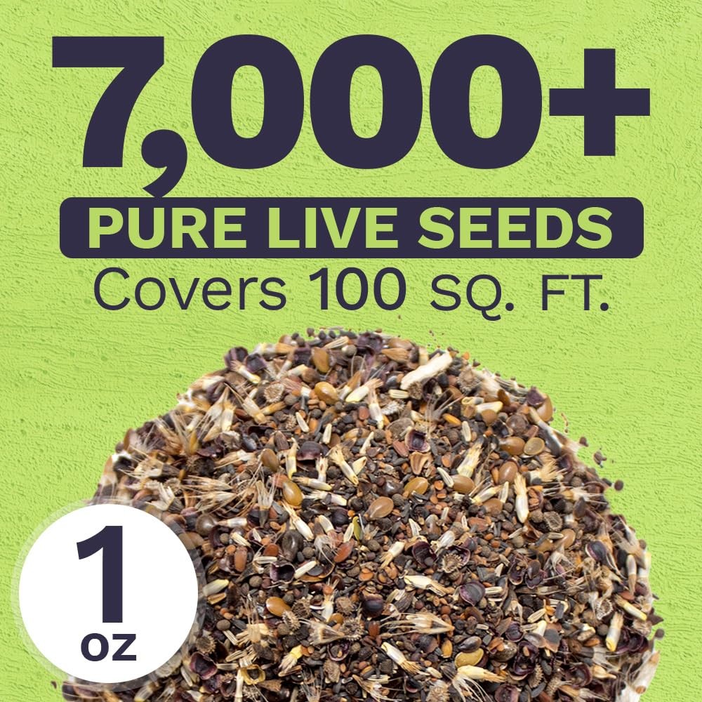 California Wildflower Seed Mix – 1 Ounce Bulk Packet – 7,000 Native Seeds