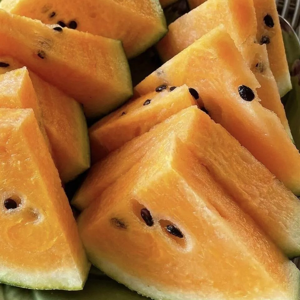 10+ Tendersweet Orange Watermelon Seeds — Heirloom — NON GMO— FRESH