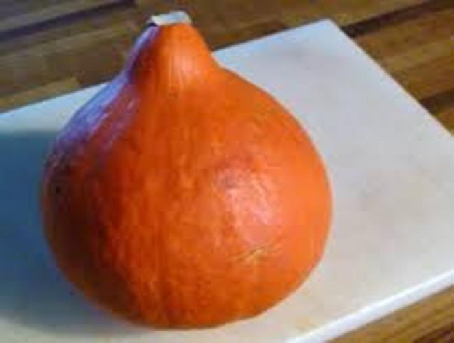 Japanese Heirloom Red Kuri Hokkaido Squash Seed by Stonysoil Seed Company.25 Cer