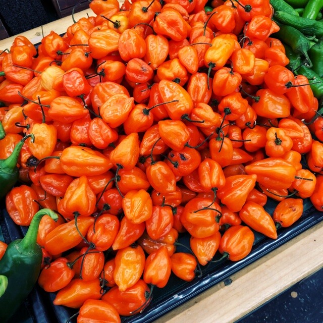 ORANGE HABANERO HOT PEPPER SEEDS NON-GMO VERY HOT STUFF awesome flavor TASTEE!