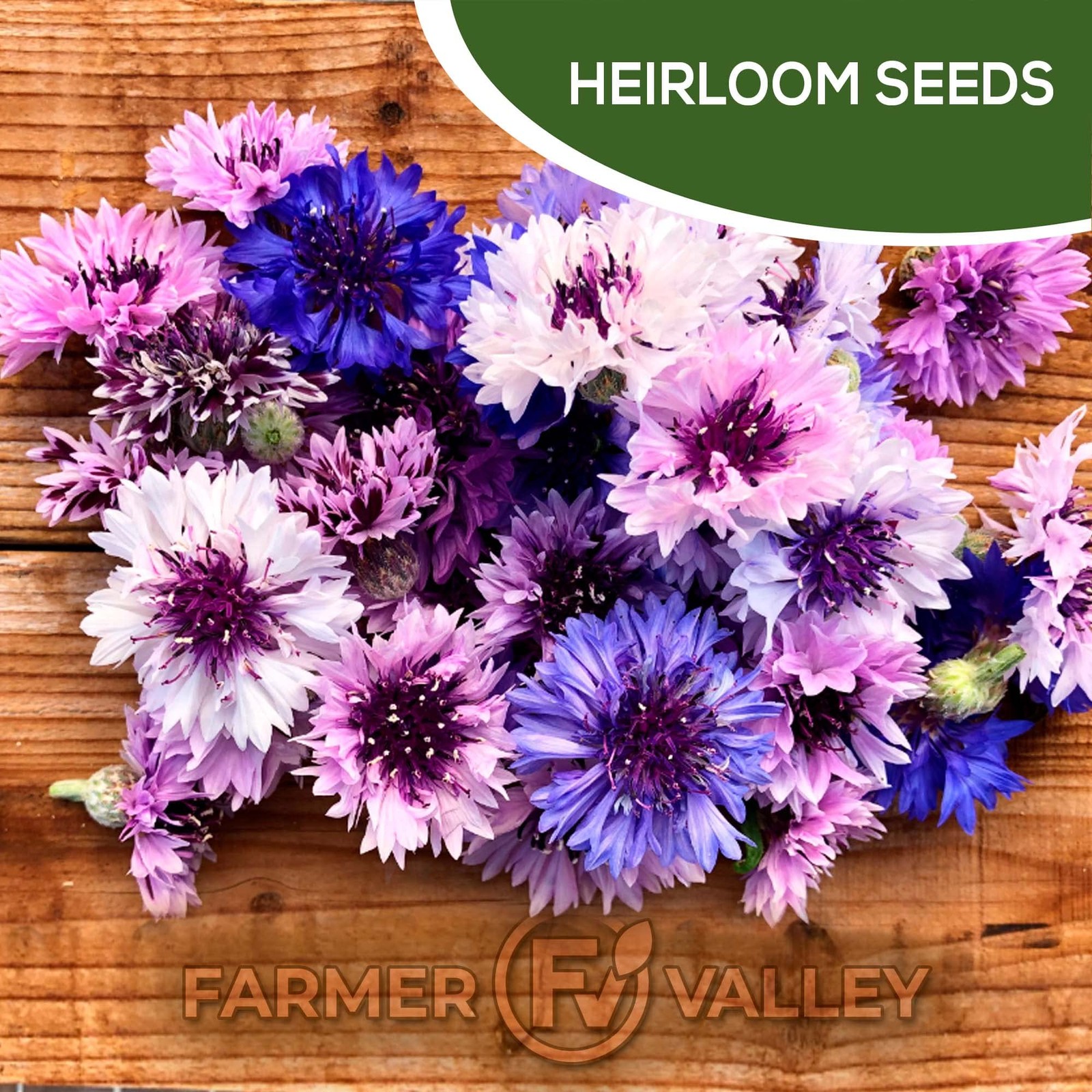 Annual Wildflower Seeds Mix to Attract Pollinators, Butterflies, and Birds – …