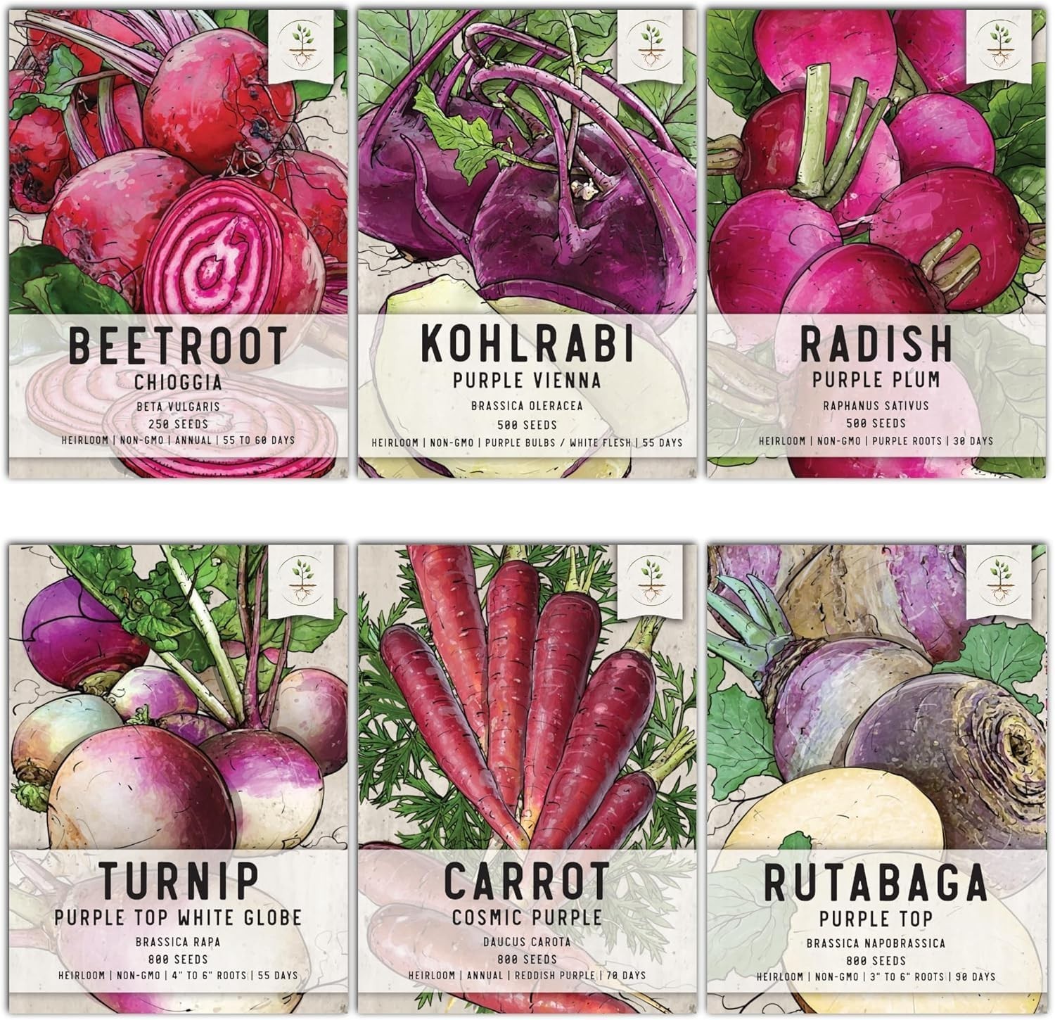 Edible Roots & Bulbs Variety Pack/Seed Collection Contains Rutabaga, Turnips,…