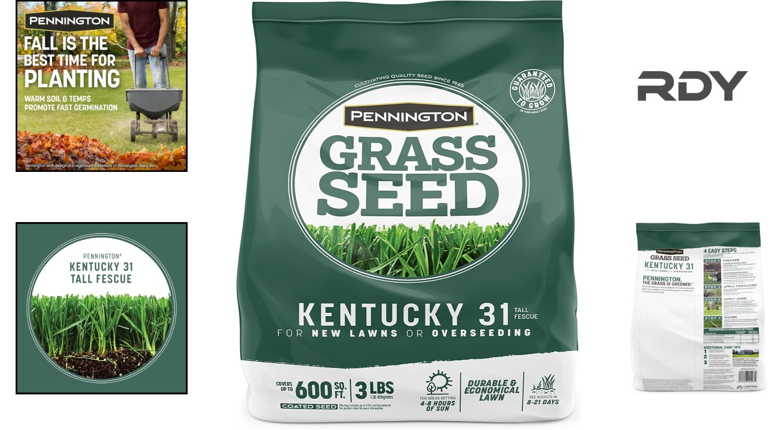 Economical Kentucky 31 Tall Fescue Penkoted Grass Seed, 3 lb – Fast Germination