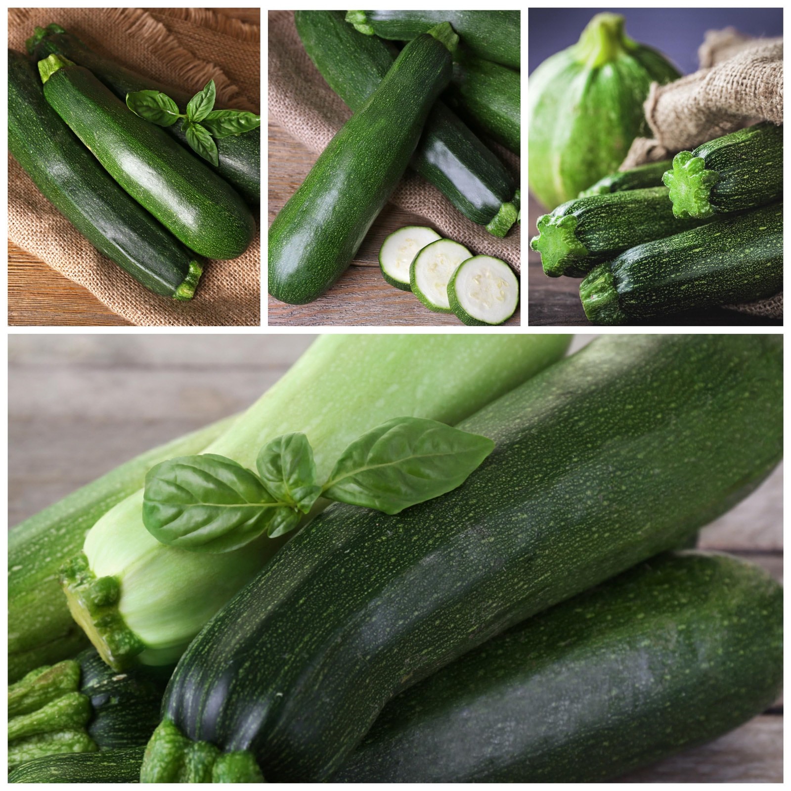 Black Beauty Squash Seeds NonGMO Heirloom Zucchini for Home Garden 2 Packs