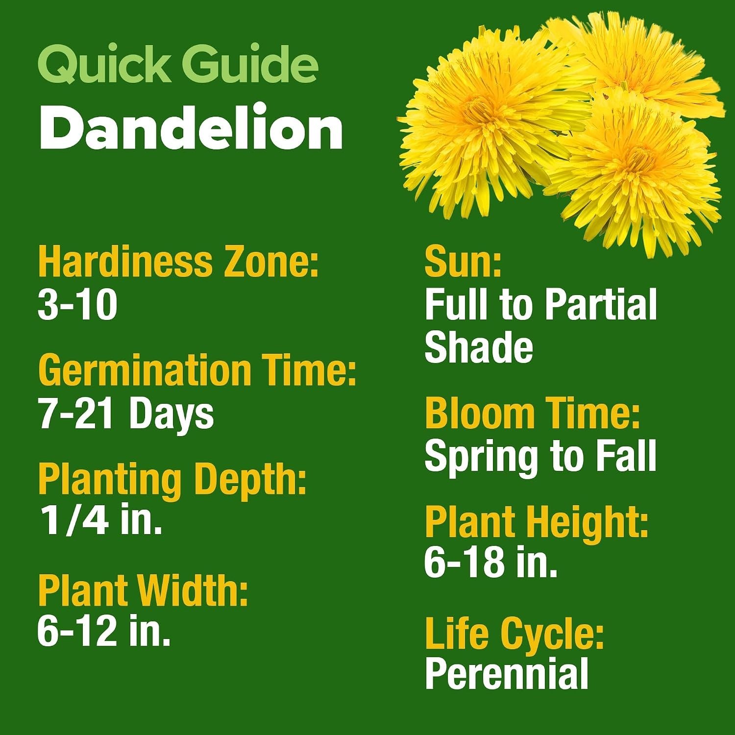 Dandelion Seeds for Planting 600 Heirloom Medicinal Herb Seeds ~0.3g Non GMO …