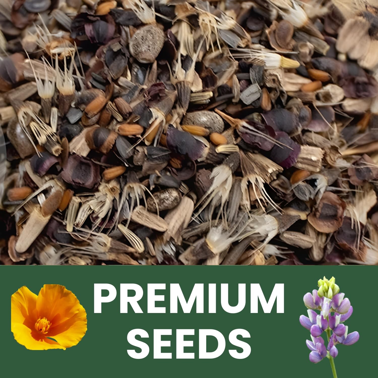 Quick Blooming Wildflower Mix 67,000 Seeds in 4 Ounce Packet for Planting