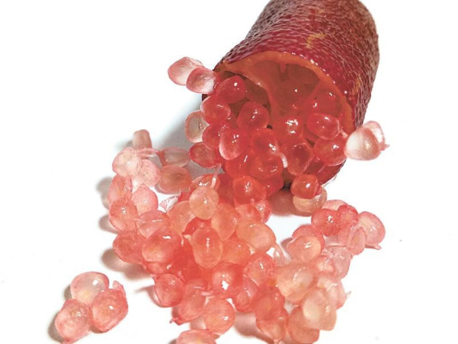 Rare Red Finger Lime – 3 cuttings , no roots