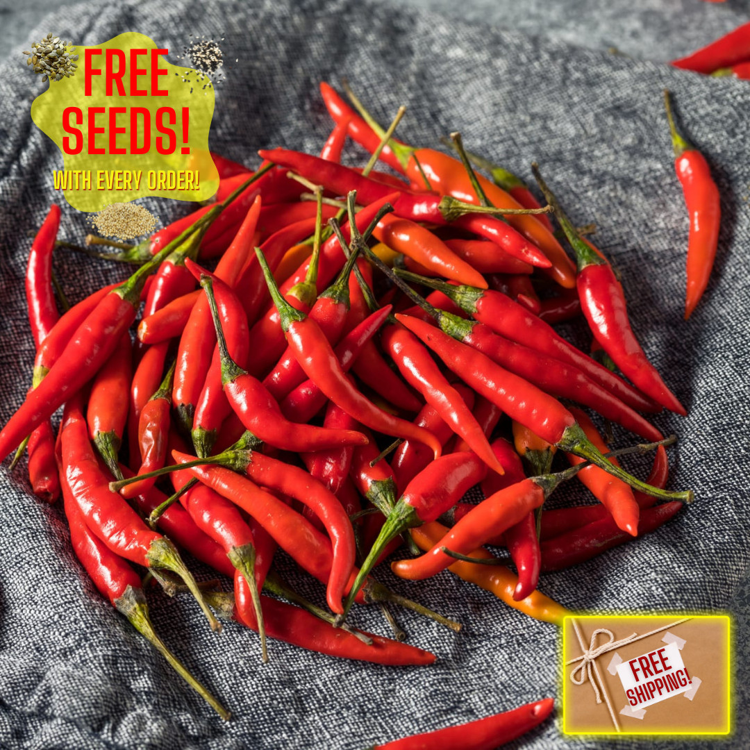 Fresh Birdseye Pepper Seeds | Wai Yee Hong | Heirloom Non-GMO | Vegetable Seeds