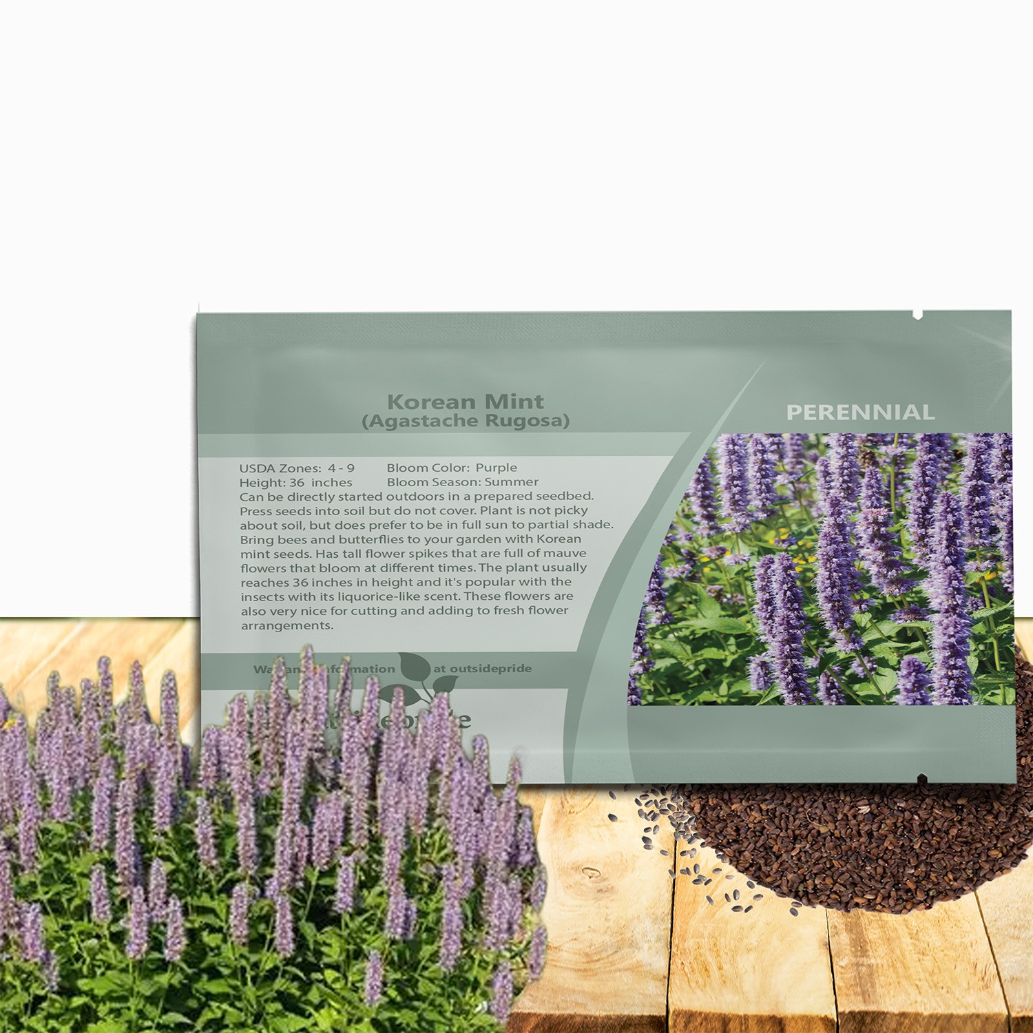 1000 Seeds Korean Mint Seed – Agastache Rugosa Herb Seeds