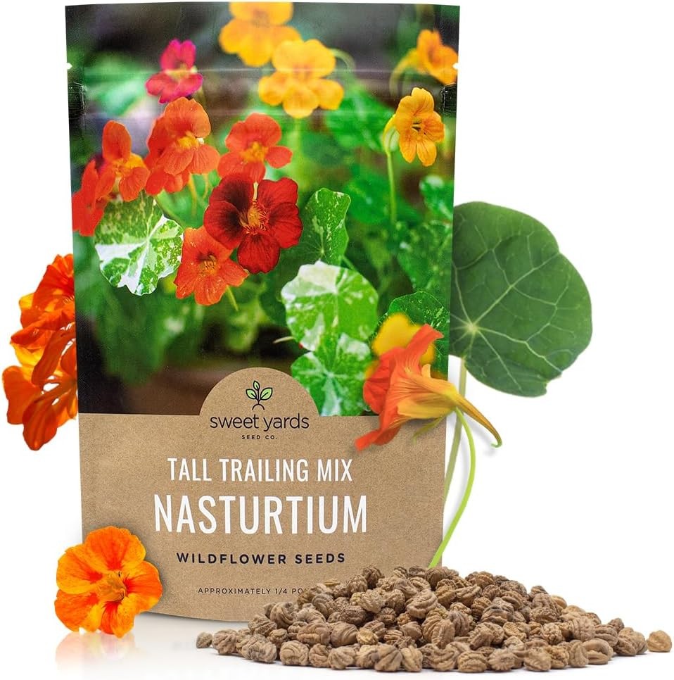 Nasturtium Seeds – Mixed Colors – Bulk Quarter Pound Bag – Over 900 Open