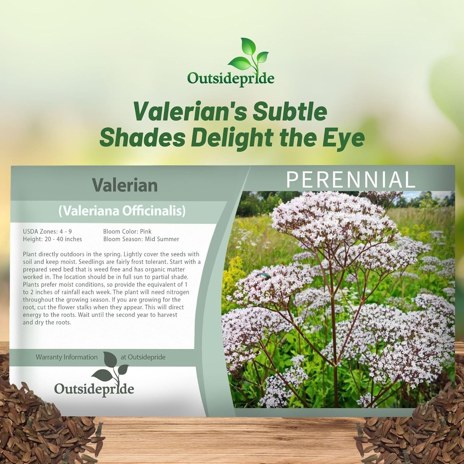 5000 Seeds Valerian Seeds – Garden Heliotrope Herb Seed