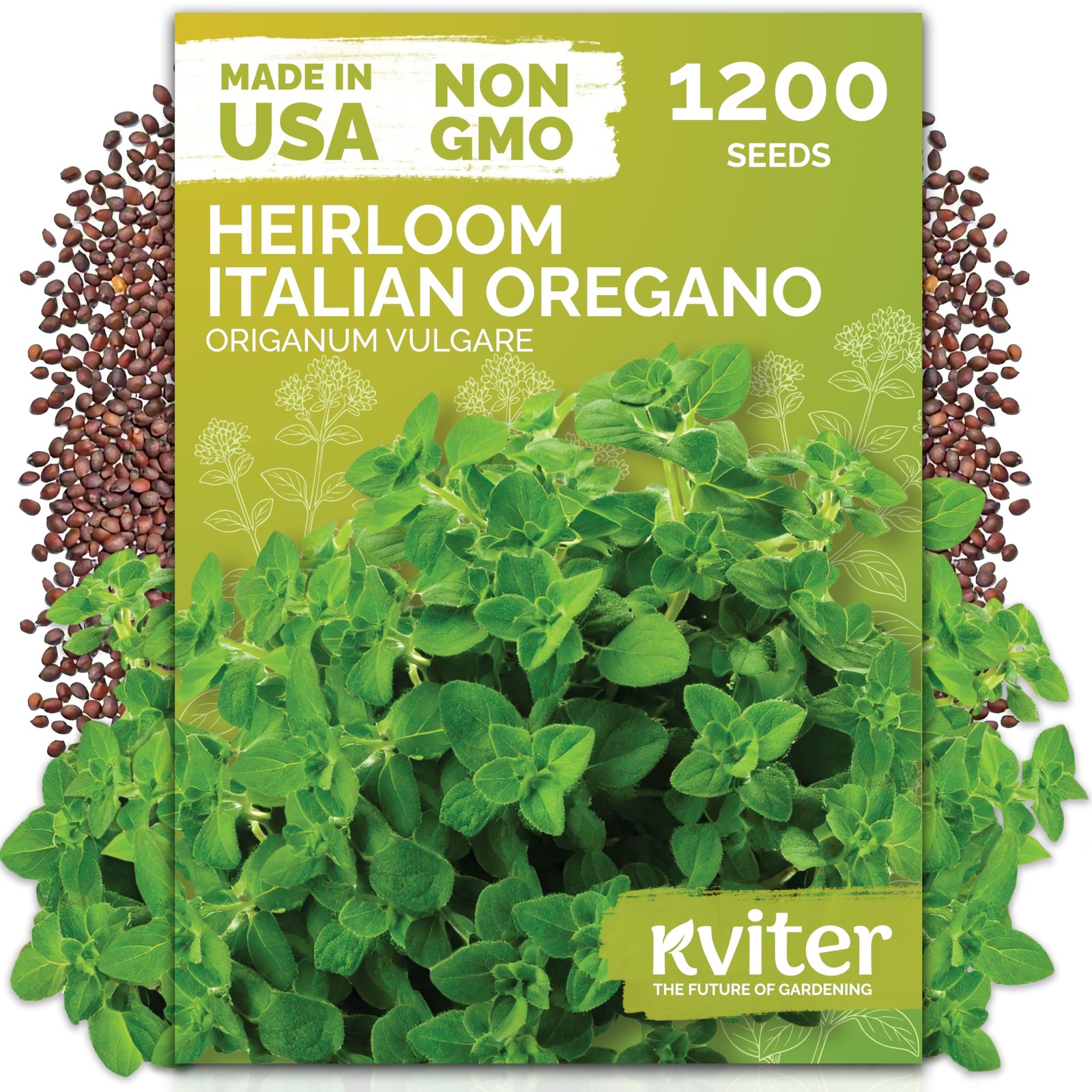 Italian Oregano Seeds for Planting NonGMO Heirloom Herb for Garden Pots