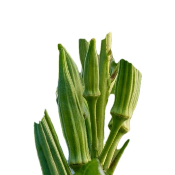 Okra Variety Seeds Heavy Hitter And Clemson Spineless 20 Total