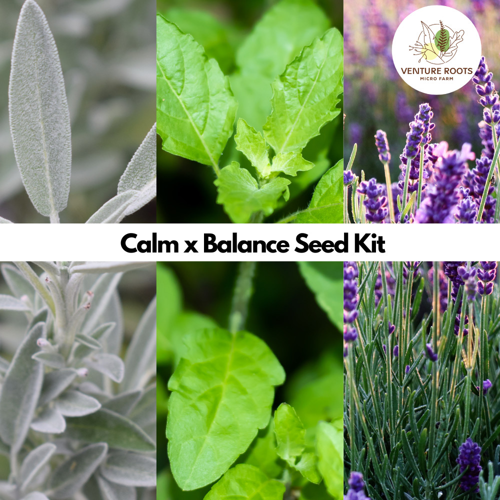 Calm and Balance 3 Variety Seed Bundle Kit